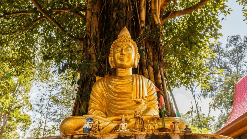 Meditate Under the Sacred Bodhi Tree at Gaya